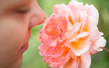 Scientists tested the new VR headset with a short film of a woman smelling a flower