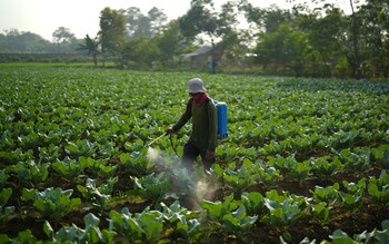 "Our optimism, our ambitions, our collective endeavours have not met the scale of the harsh realities of food insecurity in our age", write leaders in the UK and Brazil