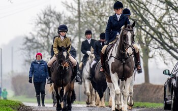 Trail hunting involves the hounds following a scent that has been dragged across the countryside for them