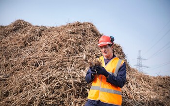 Biomass fuel